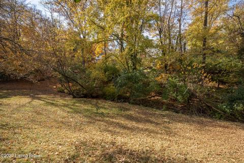 6710 Foxcroft Rd, Prospect, KY 40059 photo 47