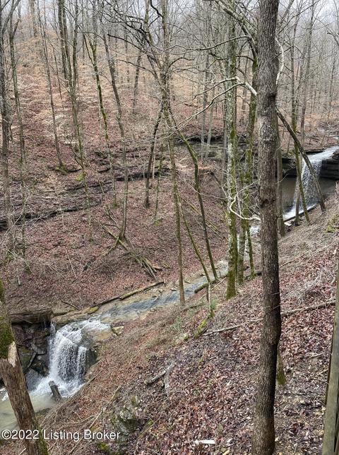 22 Lees Ford Dock Rd, Nancy, KY 42544 photo 7