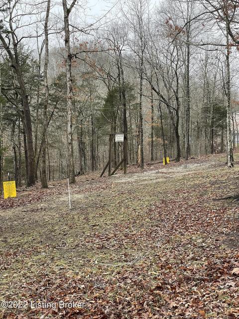 22 Lees Ford Dock Rd, Nancy, KY 42544 photo 3