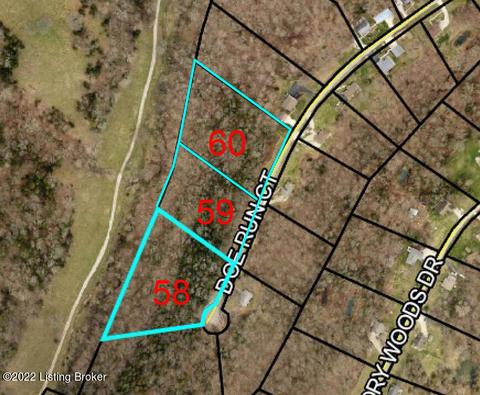 360 Doe Run Ct, Taylorsville, KY 40071