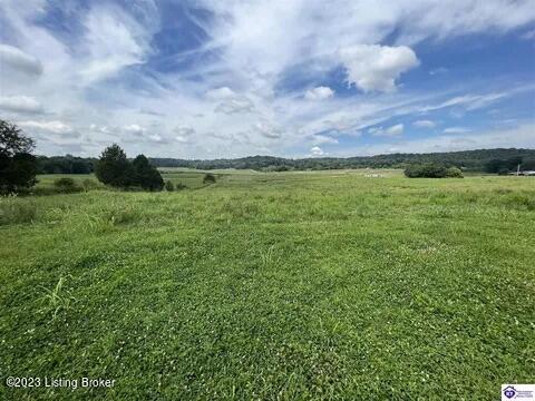 2280 Bewleyville Rosetta Rd, Irvington, KY 40146