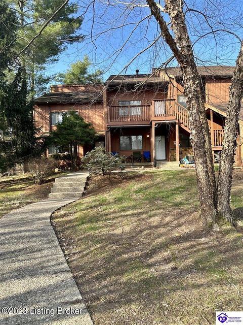 391 Piping Rock Rd, Brandenburg, KY 40108