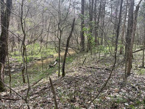 2 Robert Taylor Lane, New Haven, KY 40051