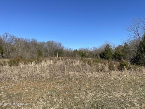 lot20 Jennings Knob Rd, Vine Grove, KY 40175