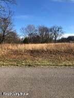 Lot 8 Gaines Rd, Brandenburg, KY 40108