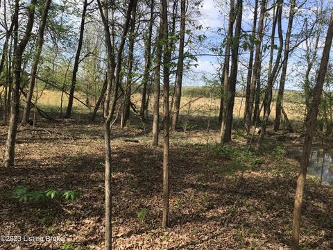 Lot19 Tracy-lynn Ln, Lebanon Junction, KY 40150