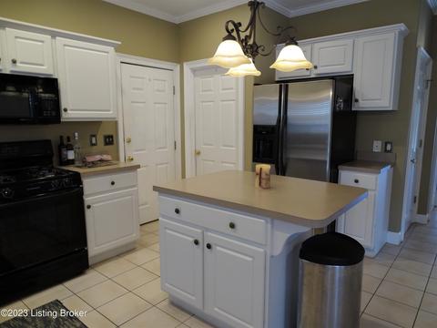 5232 Wolfpen Woods Dr, Prospect, KY 40059 photo 28