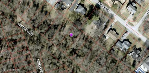 317 Camelia Ave, Louisville, KY 40222