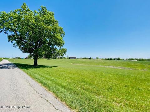 Tr4 Doe Run Ln, Springfield, KY 40069