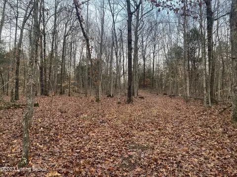 0 Shanty Hollow Rd, Bowling Green, KY 42101