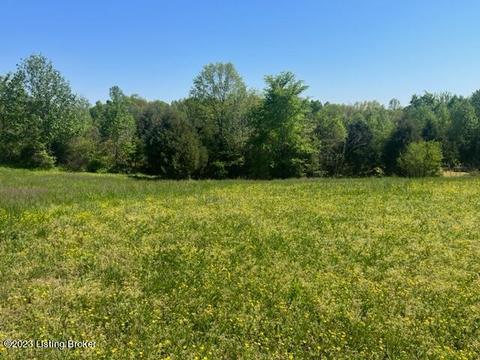 1225 Meredith Ridge Rd, Leitchfield, KY 42754