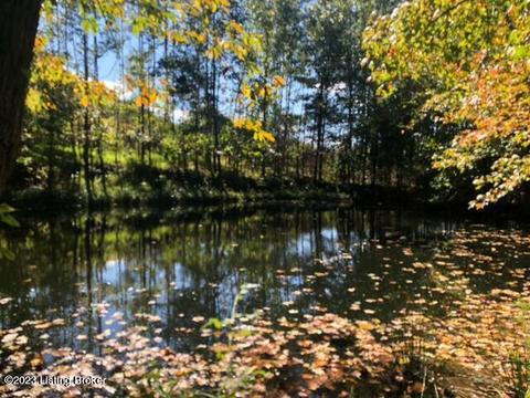 1150 Clear Creek Rd, Raywick, KY 40060