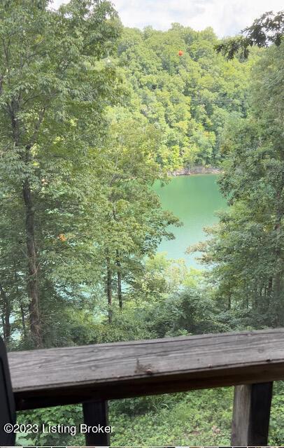 358 Lakeview Dr, Jamestown, KY 42629