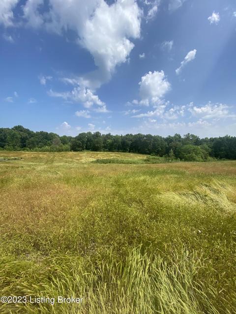 lot1 Meeting Creek Rd, Eastview, KY 42732