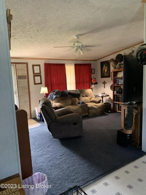 9548 E Hwy 86, Custer, KY 40115 photo 3
