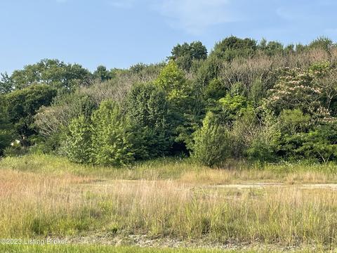 Tr 3a1 3a2 Springfield Rd, Bardstown, KY 40004