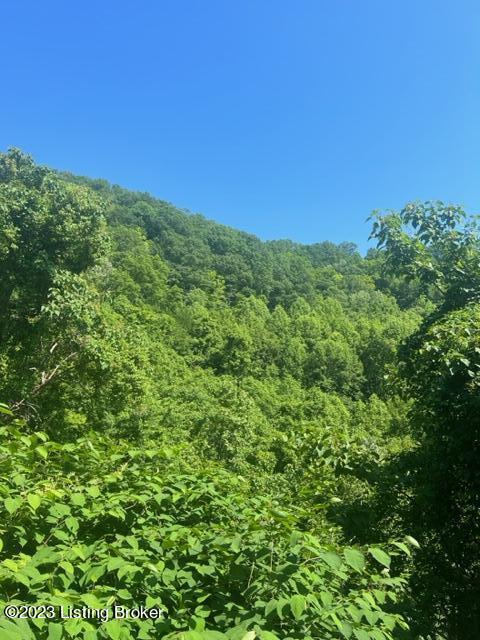 0 Pond Forkjohns Creek Rd, Pikeville, KY 41501