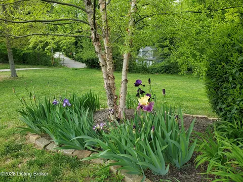 4201 Emma Lou Dr, Floyds Knobs, IN 47119 photo 63