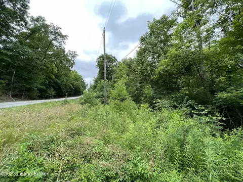 29 Lovebird Ln, Worthville, KY 41098