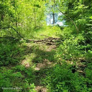 779 S Campbell Ln, Bedford, KY 40006
