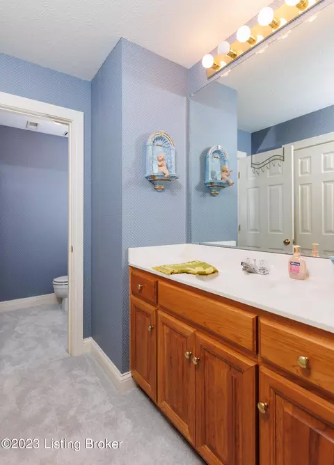 6903 Bridgepointe Blvd, Prospect, KY 40059 photo 43