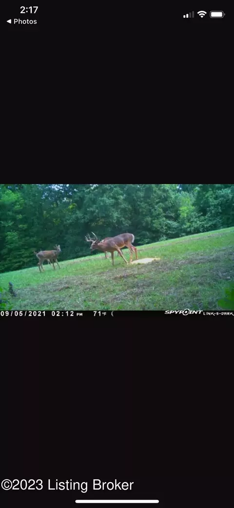 877 Norvelle Rd, Pendleton, KY 40055 photo 4