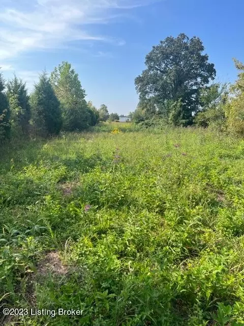 9271 Hwy 401, Custer, KY 40115 photo 4