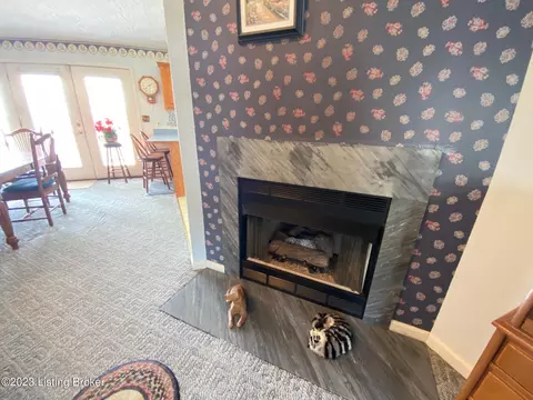 310 Mockingbird Dr, Springfield, KY 40069 photo 4