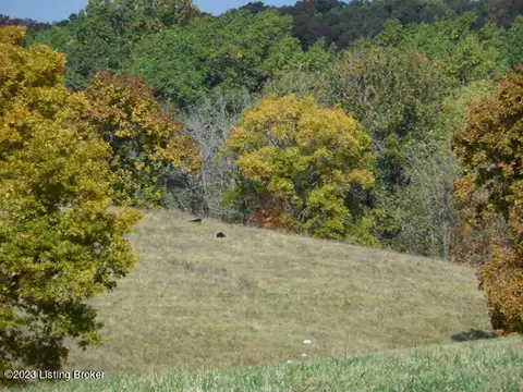 239 Sewell Rd, Bethlehem, KY 40007 photo 4