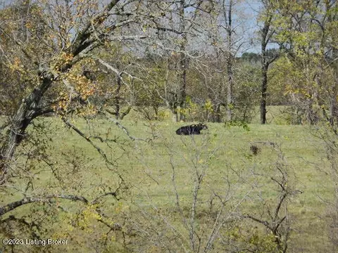 239 Sewell Rd, Bethlehem, KY 40007 photo 6