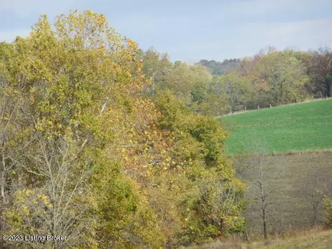 239 Sewell Rd, Bethlehem, KY 40007 photo 32