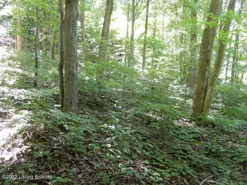 1515 A Winding Holw, Lebanon Junction, KY 40150