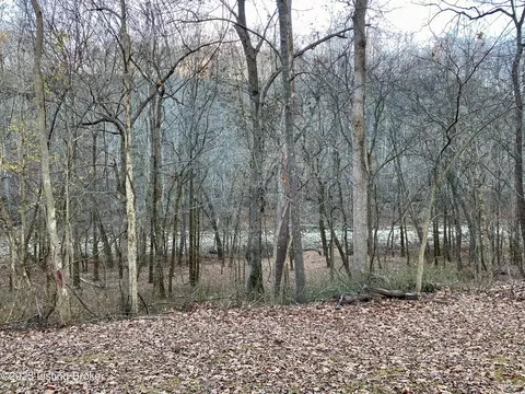 View/Area - 281 Adkins Camp Loop, Hudson, KY 40145 photo 2 of 2
