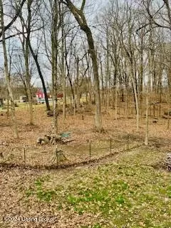 255 Bunger Rd, Ekron, KY 40117 photo 24