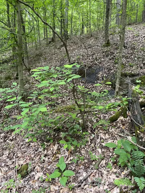 0 Hawesville Easton Rd, Reynolds Station, KY 42368