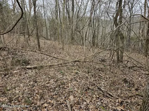 2 Lone Star Road, Upton, KY 42784 photo 8