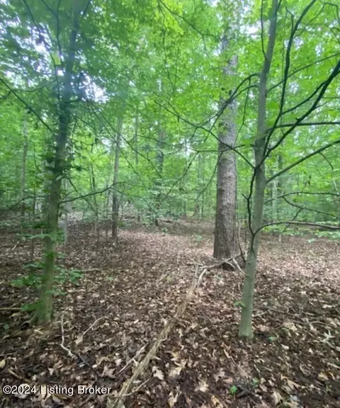 lot81 S Valley View Dr, Shepherdsville, KY 40165