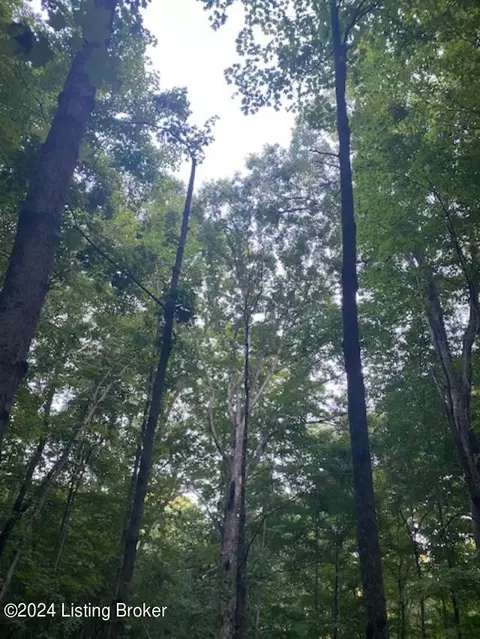 Lot 79 S Valley View Dr, Shepherdsville, KY 40165