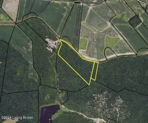 0 Coon Hollow Rd, Caneyville, KY 42721