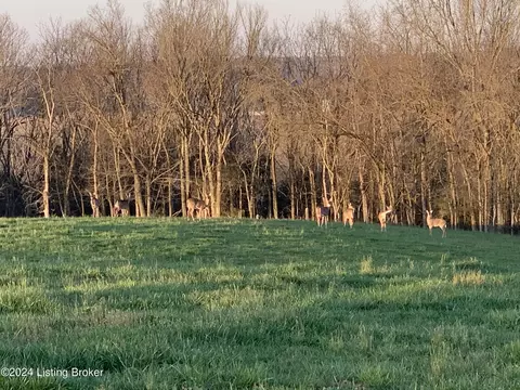 10 Tucker Ln, Springfield, KY 40069