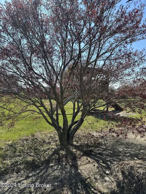 View/Area - 357 Bates Ln, Shepherdsville, KY 40165 photo 2 of 2