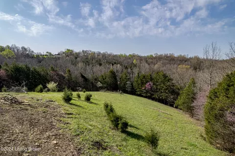 Exterior - 14011 Bald Knob Rd, Frankfort, KY 40601 photo 21 of 29