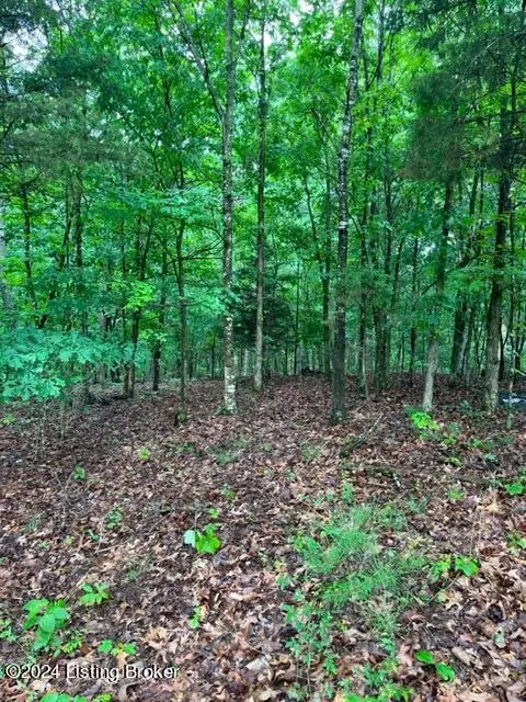 7922 Loretto Rd, Loretto, KY 40037 photo 9