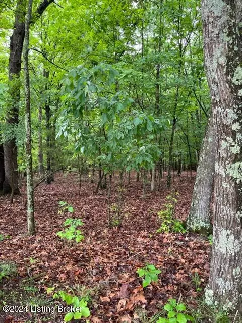7922 Loretto Rd, Loretto, KY 40037 photo 8
