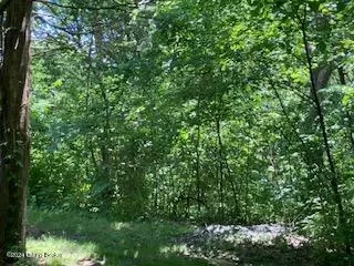 0 James Ridge Rd, Pleasureville, KY 40057