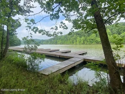 155 Conoloway Bay Dr, Clarkson, KY 42726
