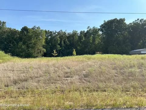 119 Mcdonald Drive Dr, Brandenburg, KY 40108