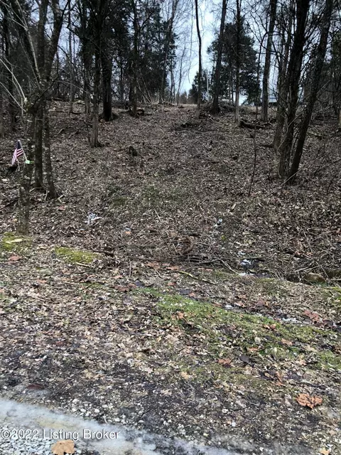 lot255 A Cedarmore Rd, Bagdad, KY 40003
