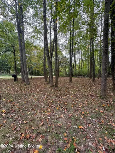 200 Skipjack Ln, Scottsville, KY 42164