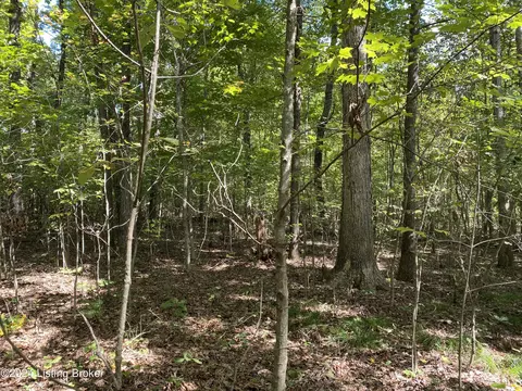 4805 Nolin Dam Rd, Mammoth Cave, KY 42259